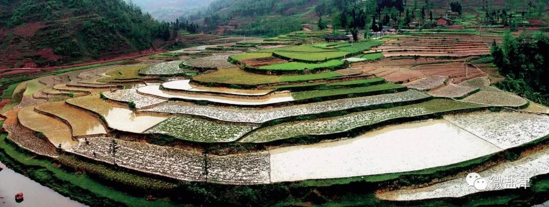 1442486_2048x2048 1442486_2048x2048