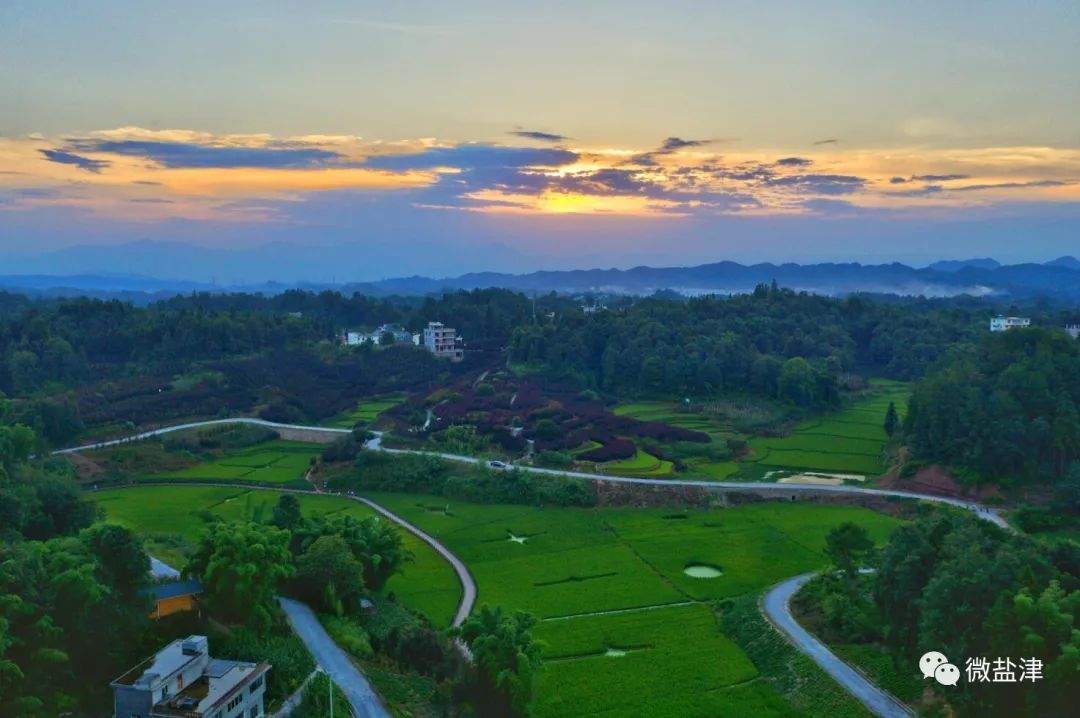 1442484_2048x2048 1442484_2048x2048