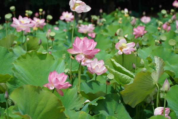 微信圖片_20230711103708