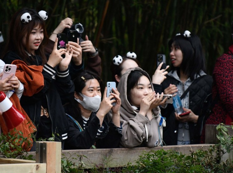 Tourists wearing panda hairbands take photos at Chengdu Research Base of Giant Panda Breeding in Chengdu, southwest China's Sichuan Province, March 22, 2023. (Xinhua/Xu Bingjie)