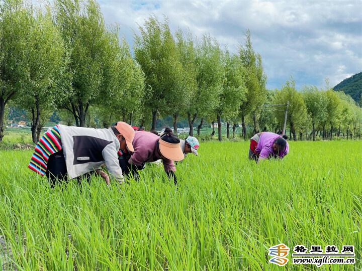 1464153_2048x2048 1464153_2048x2048