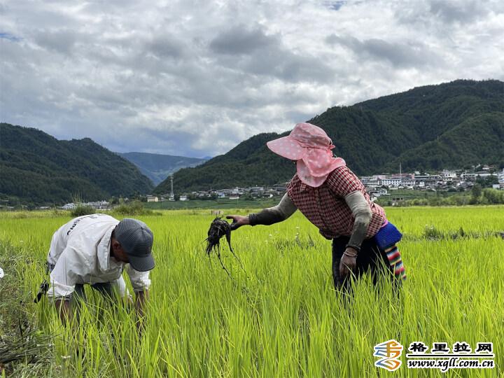 1464154_2048x2048 1464154_2048x2048