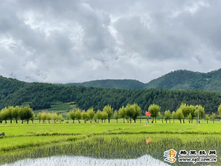 1464155_2048x2048 1464155_2048x2048