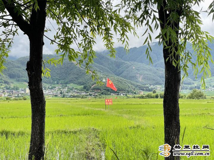 1464156_2048x2048 1464156_2048x2048