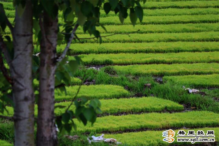 1464157_2048x2048 1464157_2048x2048