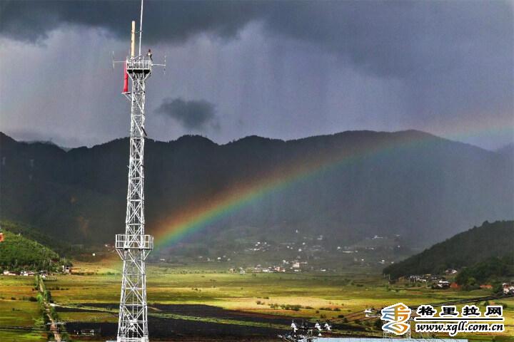 1464158_2048x2048 1464158_2048x2048