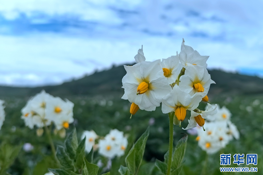 1464102_2048x2048 1464102_2048x2048