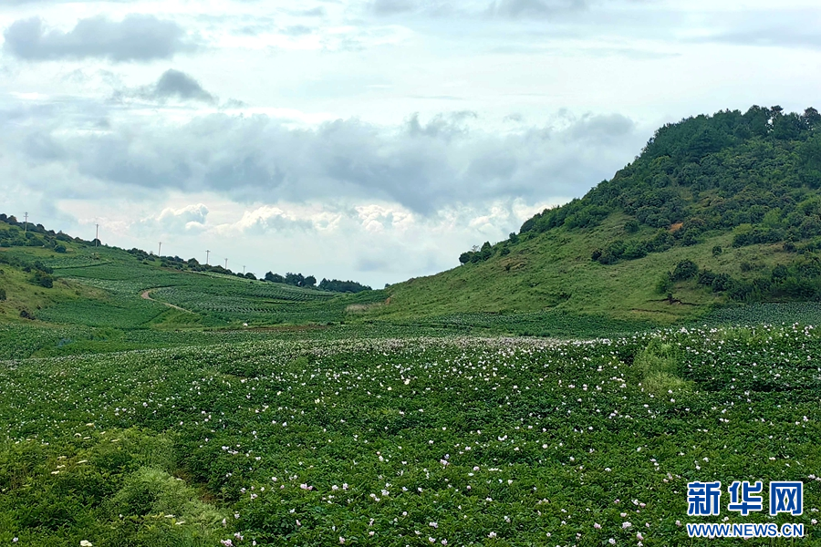 1464105_2048x2048 1464105_2048x2048