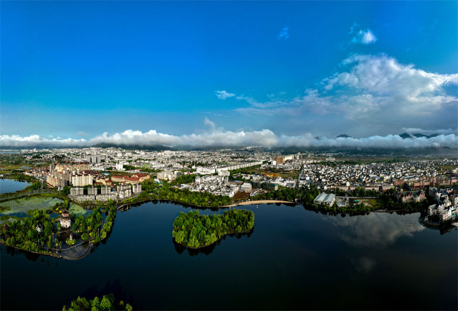 1486166_2048x2048 1486166_2048x2048