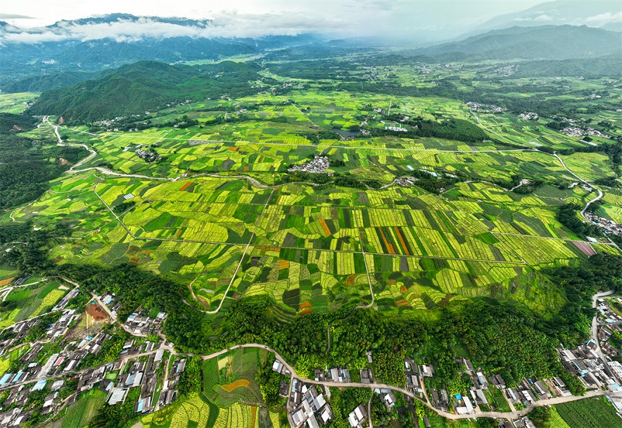 1486169_2048x2048 1486169_2048x2048