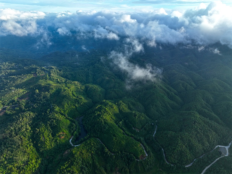 1486170_2048x2048 1486170_2048x2048