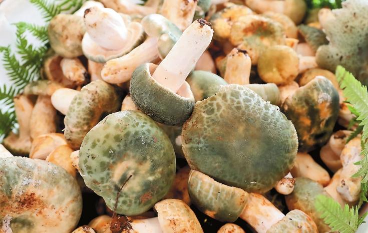 1485665_2048x2048 1485665_2048x2048