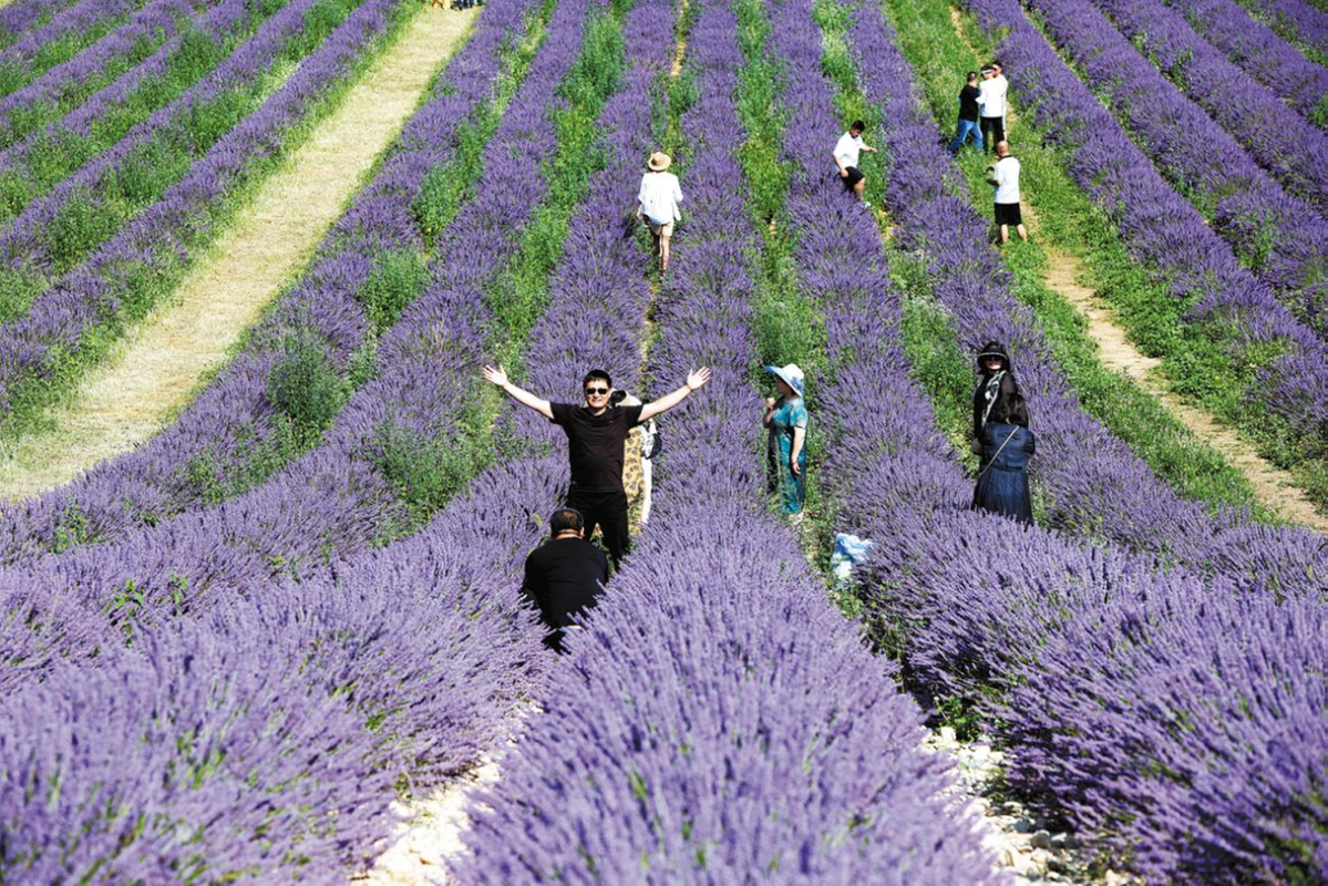 64f92264a310d2dc6d27633e 64f92264a310d2dc6d27633e