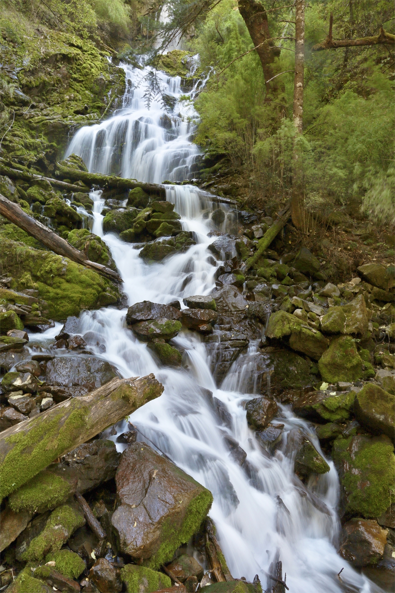 1522028_2048x2048 1522028_2048x2048