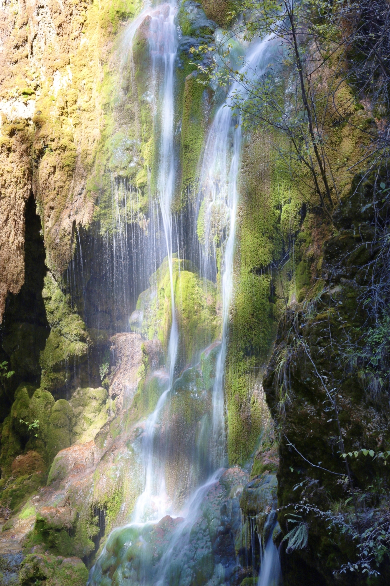 1522034_2048x2048 1522034_2048x2048