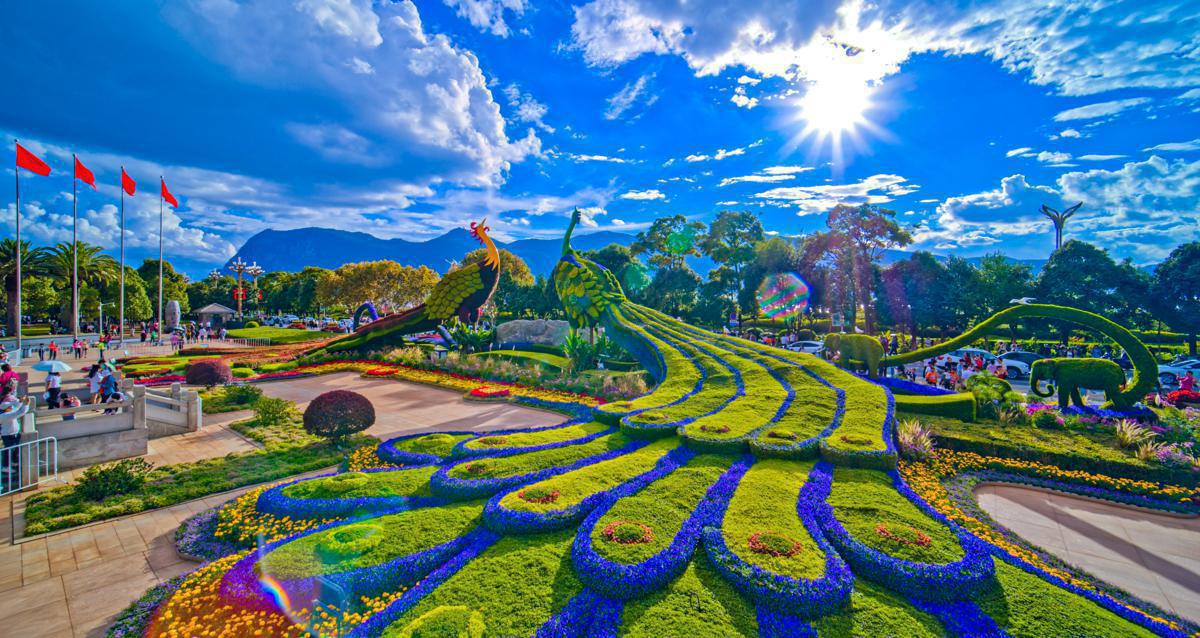 6545d1e9a3109068caff60a8 6545d1e9a3109068caff60a8