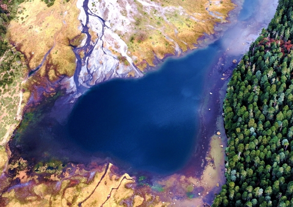 1525526_2048x2048 1525526_2048x2048