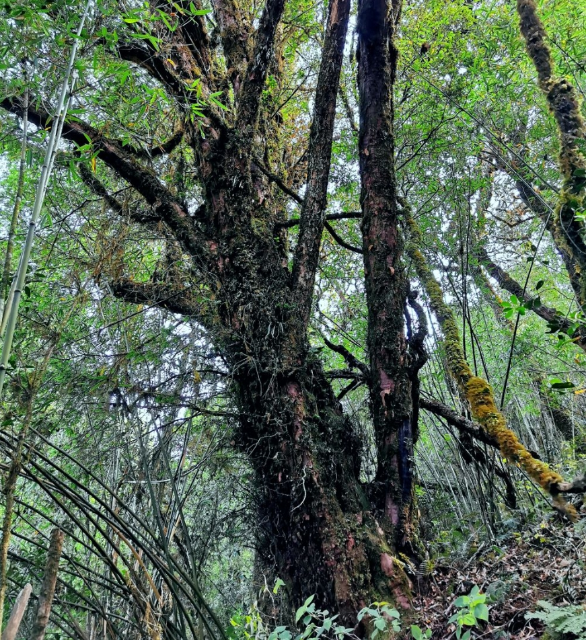 20231105081600MTGP66 20231105081600MTGP66