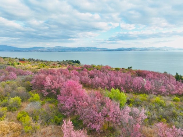 WechatIMG934.jpg WechatIMG934.jpg