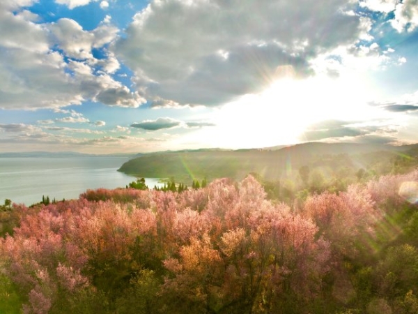 WechatIMG936.jpg WechatIMG936.jpg