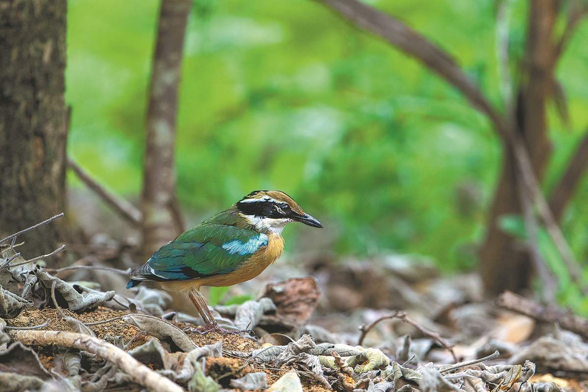 65de8eaca31082fc2b6942fa