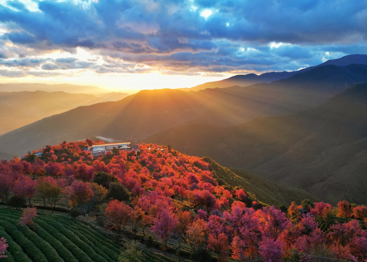 65de89a5a31082fc2b6941fb 65de89a5a31082fc2b6941fb