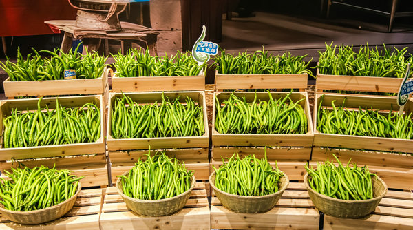 6687a3dca31095c551b4ae26 6687a3dca31095c551b4ae26