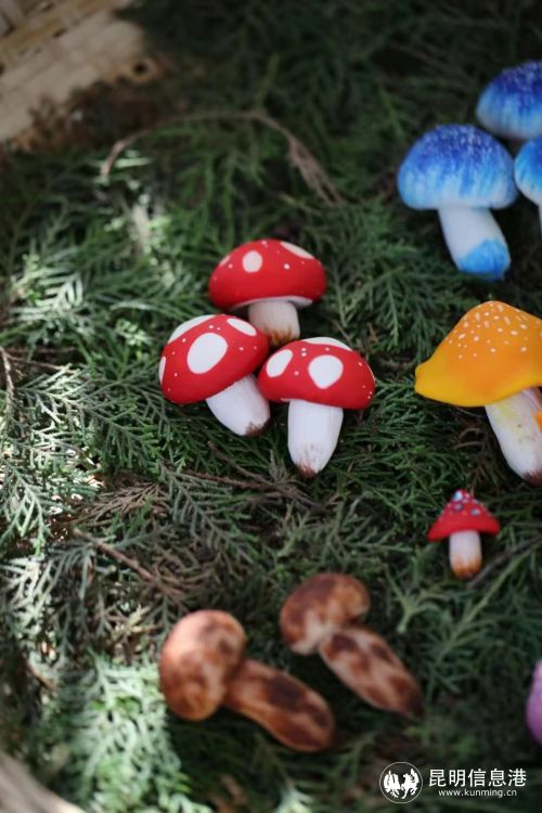 1674442_2048x2048 1674442_2048x2048