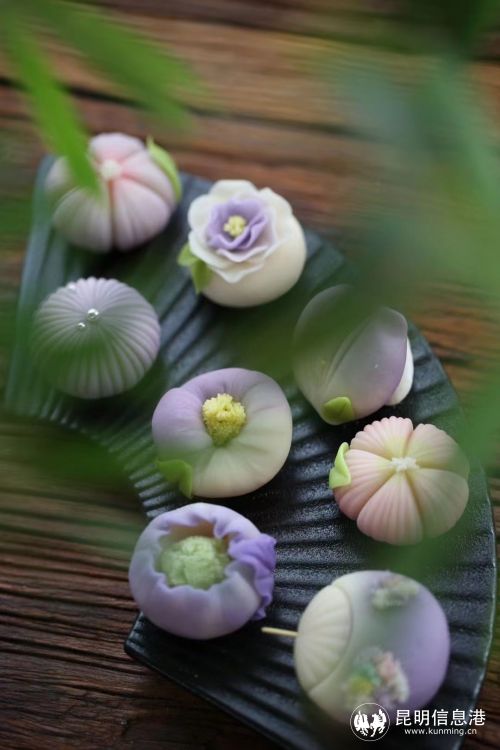 1674445_2048x2048 1674445_2048x2048