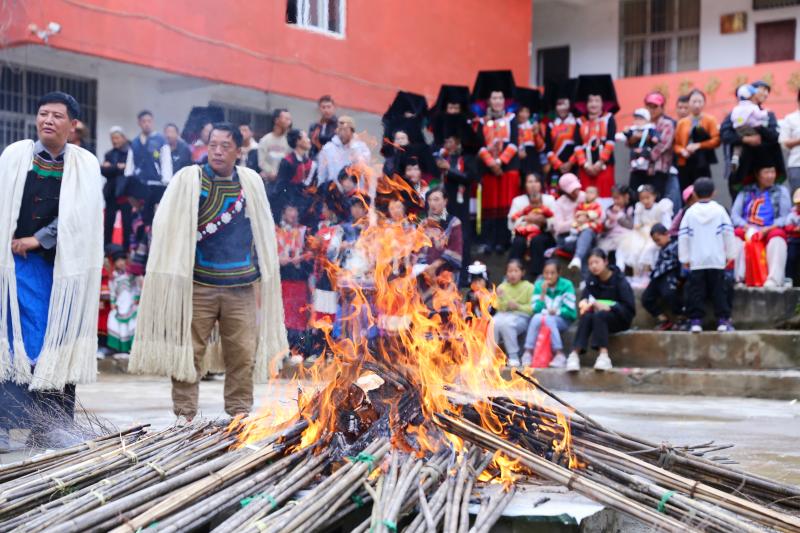 1675165_2048x2048 1675165_2048x2048