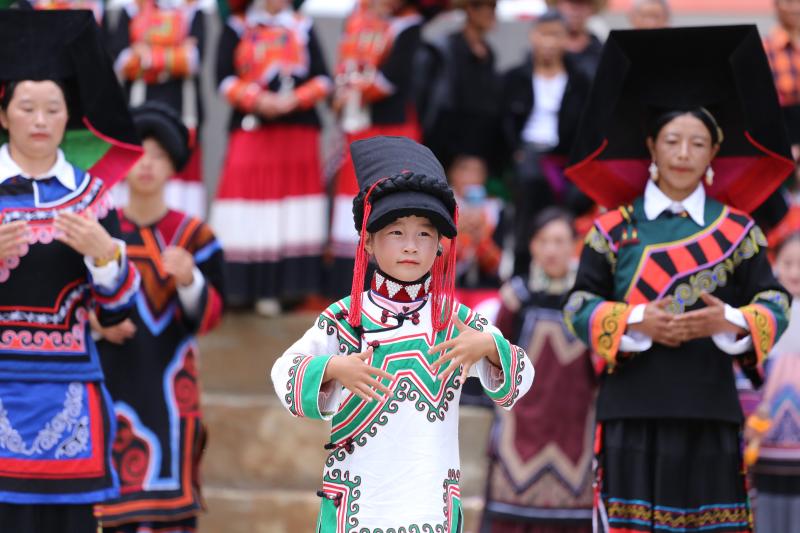 1675169_2048x2048 1675169_2048x2048