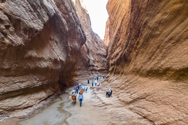 66b96b14a3104e74e4a762e1