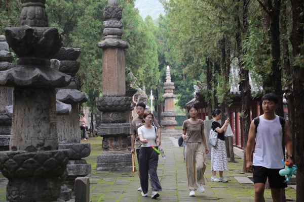 66cd21a7a3106063b5949bc1