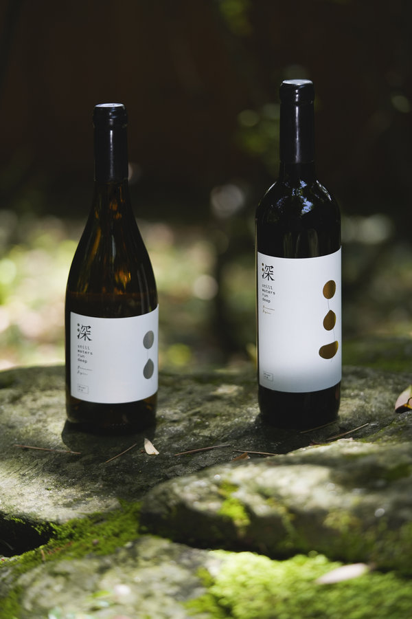 66cd3e35a3106063b594a2b1 66cd3e35a3106063b594a2b1