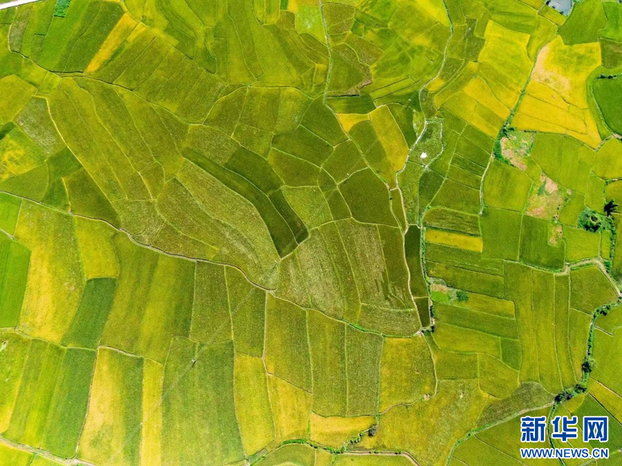 1693788_2048x2048 1693788_2048x2048