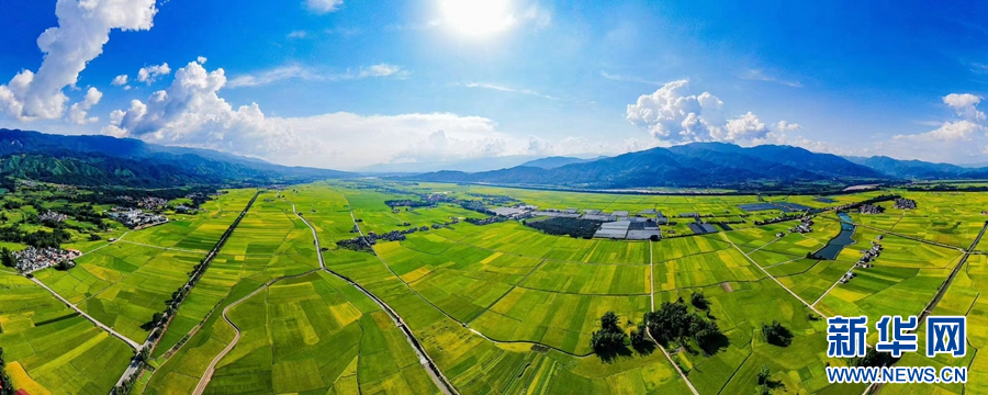 1693789_2048x2048 1693789_2048x2048