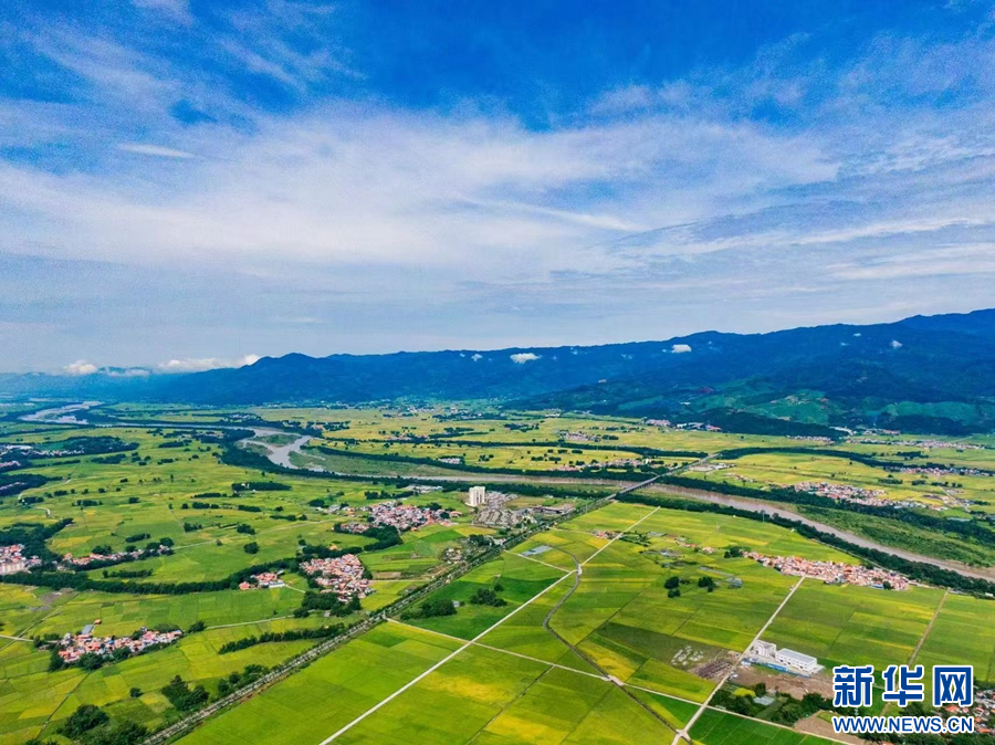 1693790_2048x2048 1693790_2048x2048