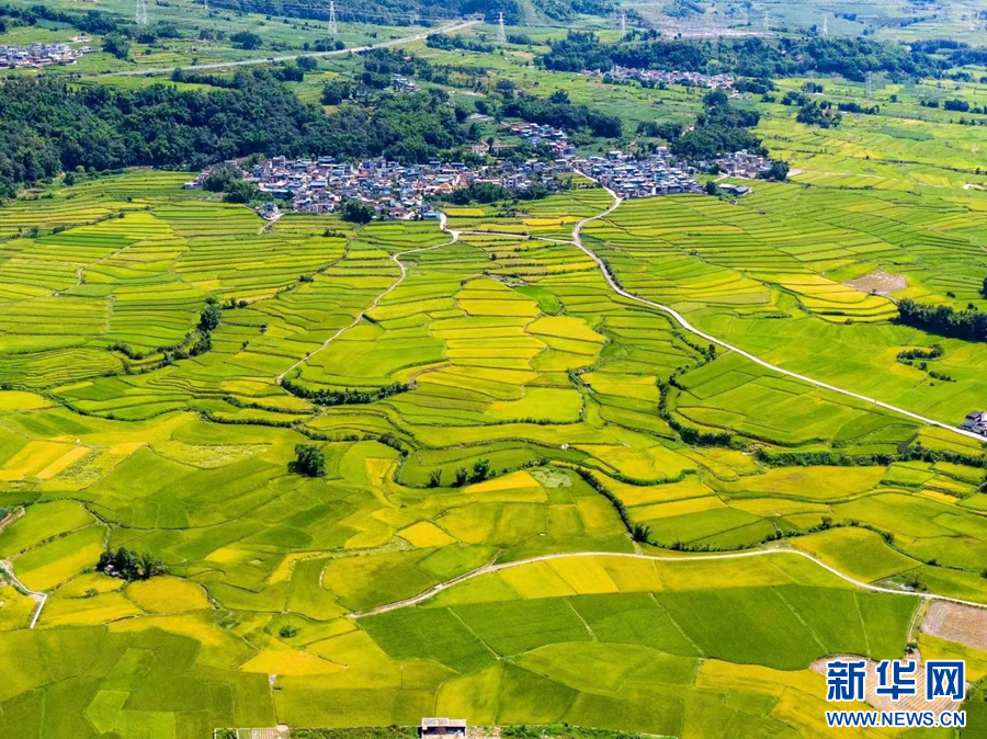 1693791_2048x2048 1693791_2048x2048