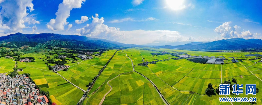 1693793_2048x2048 1693793_2048x2048