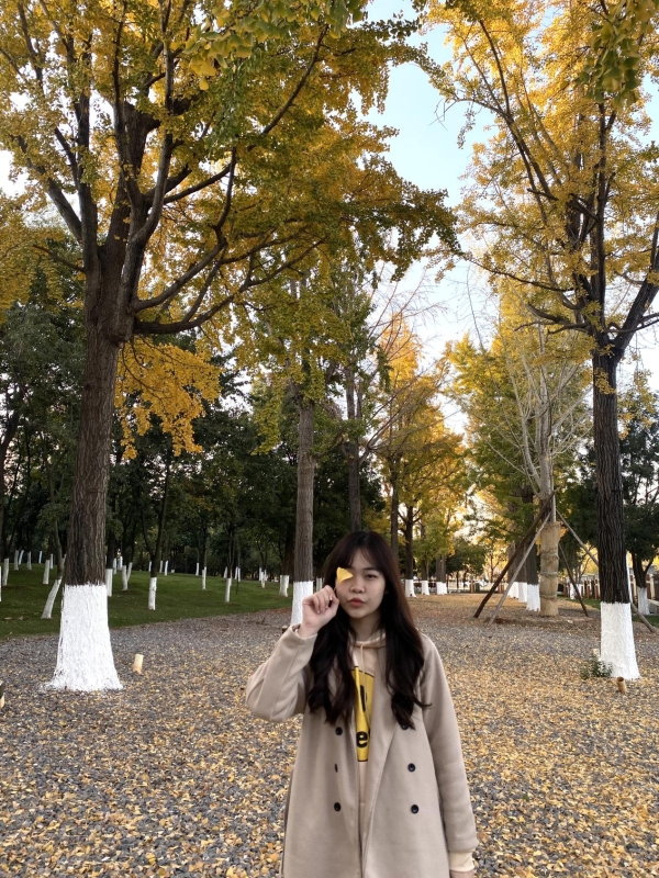 1709055_2048x2048 1709055_2048x2048