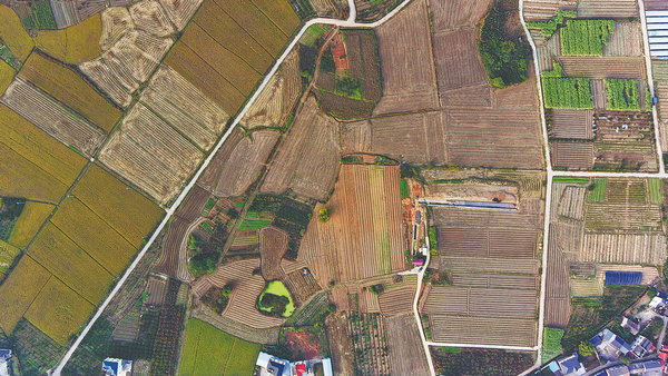 66f8ae78a310f1268d81ff95