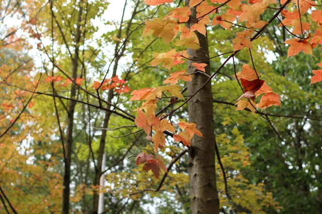 1730022_2048x2048 1730022_2048x2048