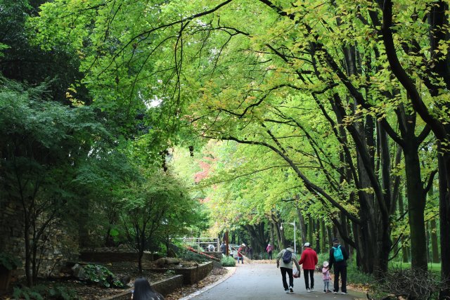 1730024_2048x2048 1730024_2048x2048