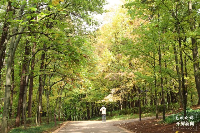 1730025_2048x2048 1730025_2048x2048