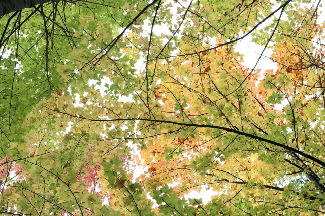 1730027_2048x2048 1730027_2048x2048