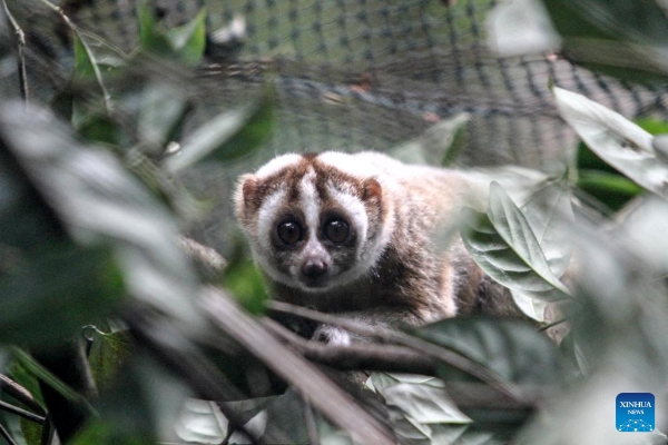 20241024c98376738595470b9ada2b39602d47a7_2024102414af615f33564eba9d293cefcf031552 20241024c98376738595470b9ada2b39602d47a7_2024102414af615f33564eba9d293cefcf031552