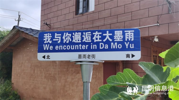 1747236_2048x2048 1747236_2048x2048