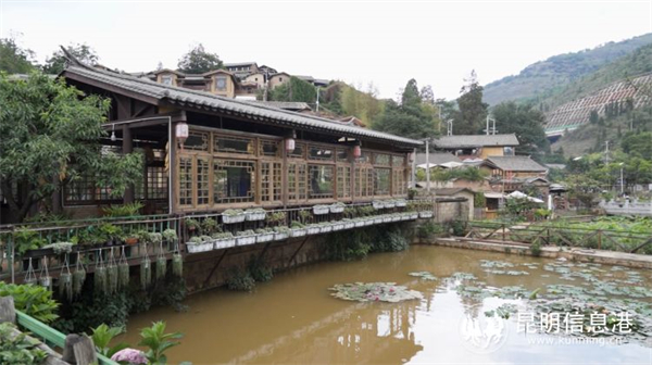 1747237_2048x2048 1747237_2048x2048