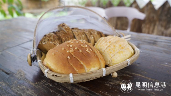 1747256_2048x2048 1747256_2048x2048