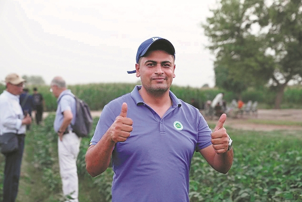 67355afba310f1268d84cf88